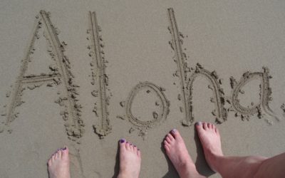 Embracing the Aloha Spirit