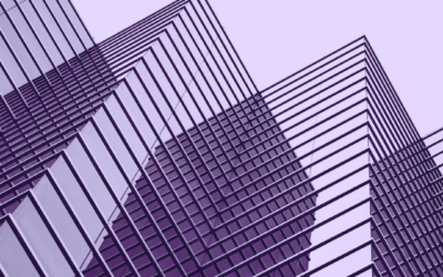 Perspective & Connection